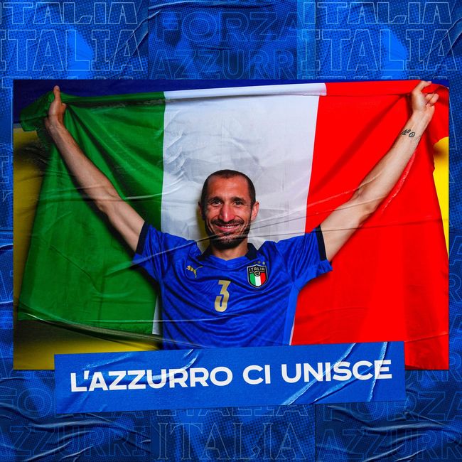 不仅彰显了 不仅彰显了