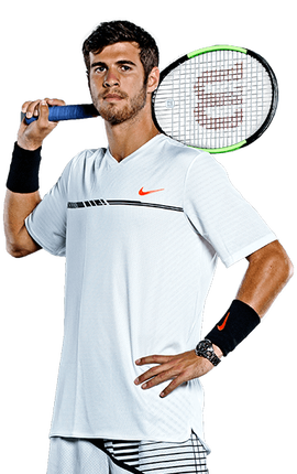 仅能增加进 仅能增加进